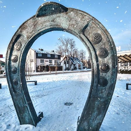 Ivolita Друскининкай Экстерьер фото